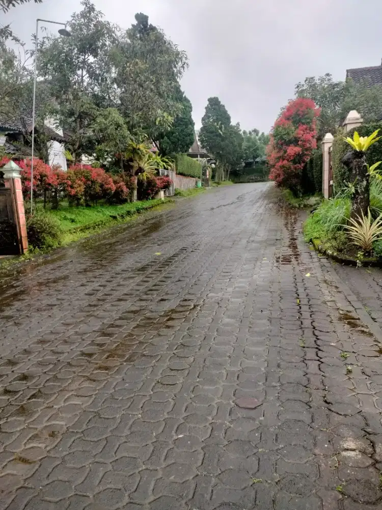 Dijual butuh vila siap huni luas tanah 300 mtr lokasi bugenvil Cipanas
