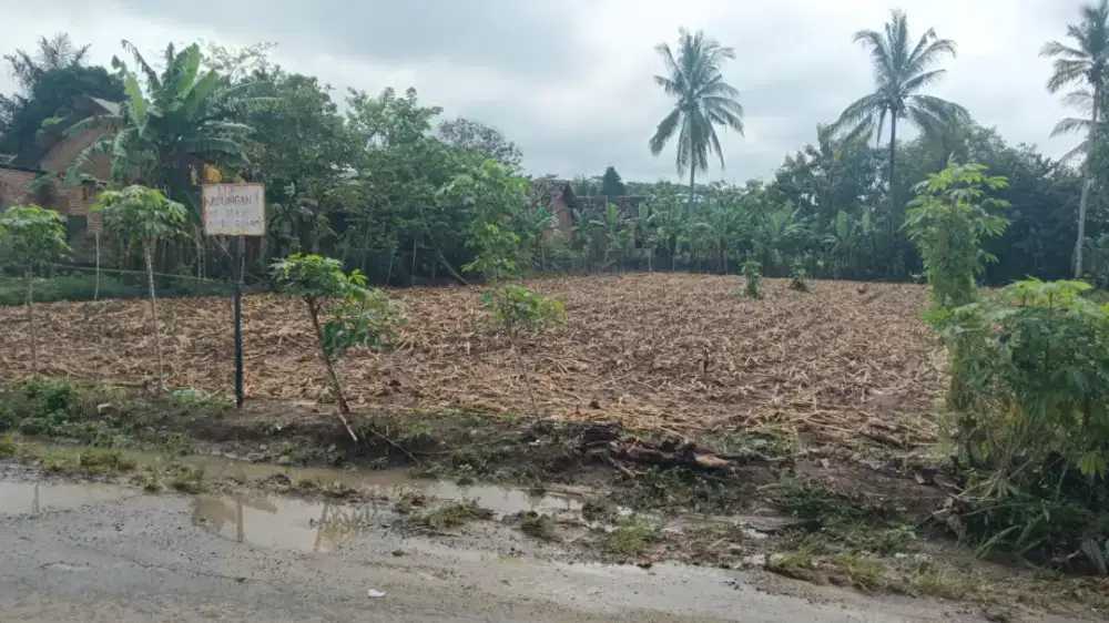 di jual tanah 2000meter persegi