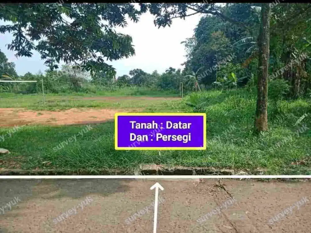 Tanah 646 SHM Strategis Pinggir Jalan Desa