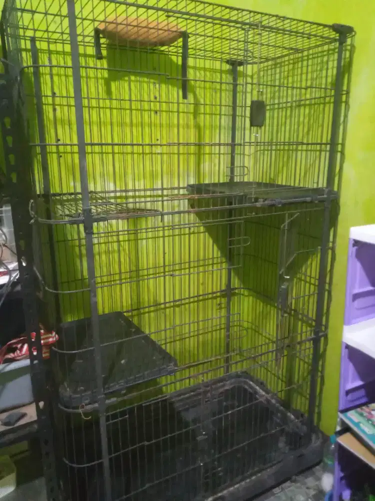 Kandang kucing jumbo
