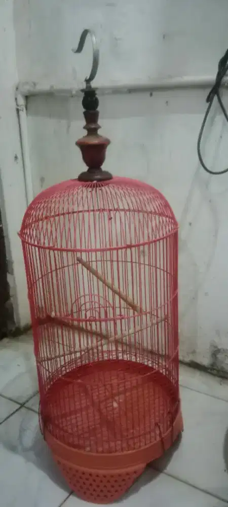 Kandang burung bekas