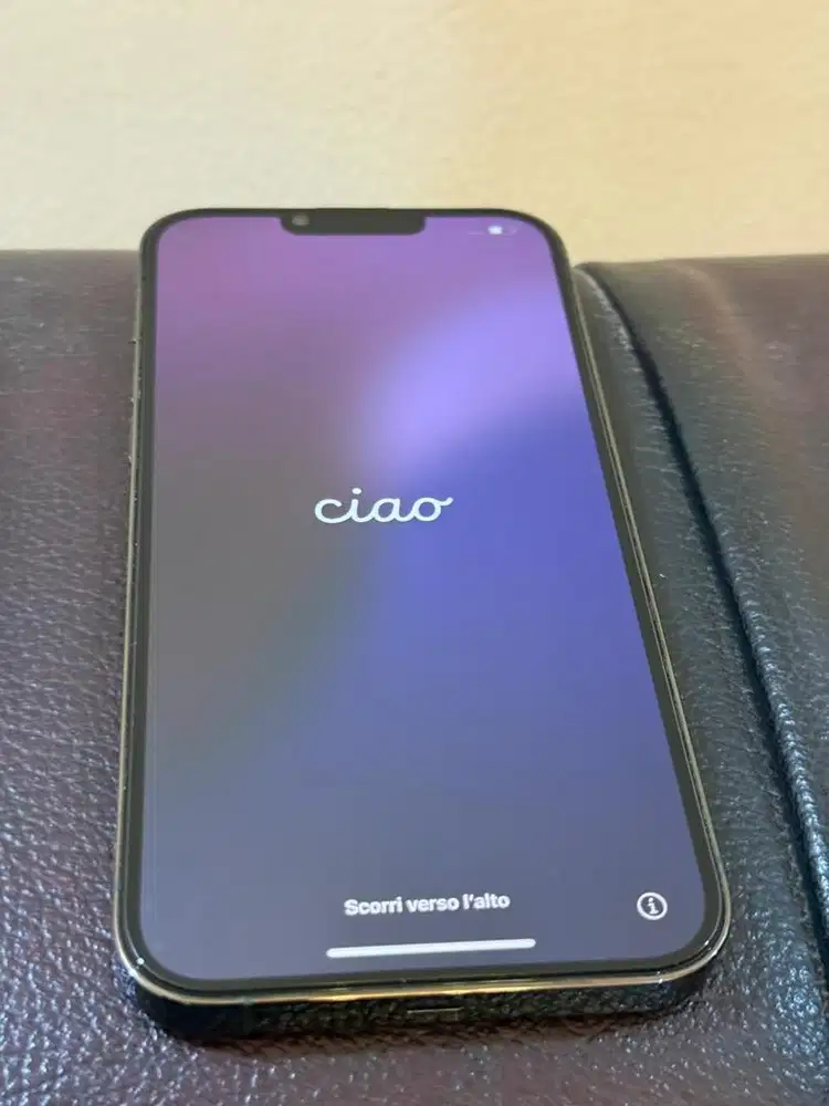 Jual Iphone 13 promax 128 Ibox