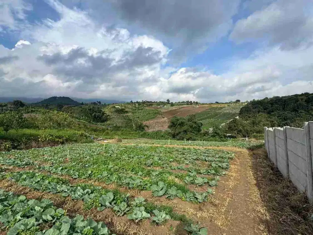 LAHAN PERTANIAN KOTA BATU MURAH SERTIFIKAT