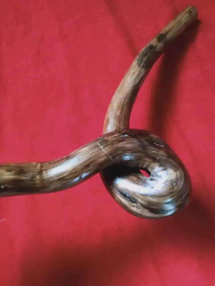 Kayu kurung lamjalallah