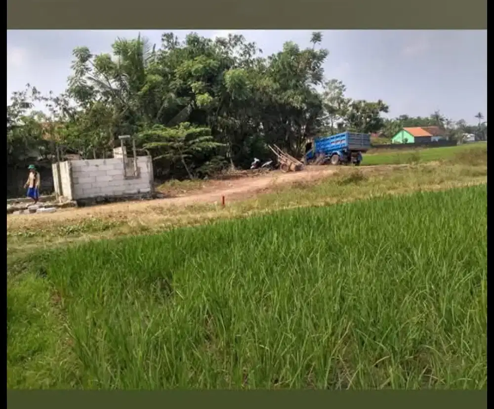 Tanah SHM deket pantura & sekolah MA NASRULLAH ampelgading