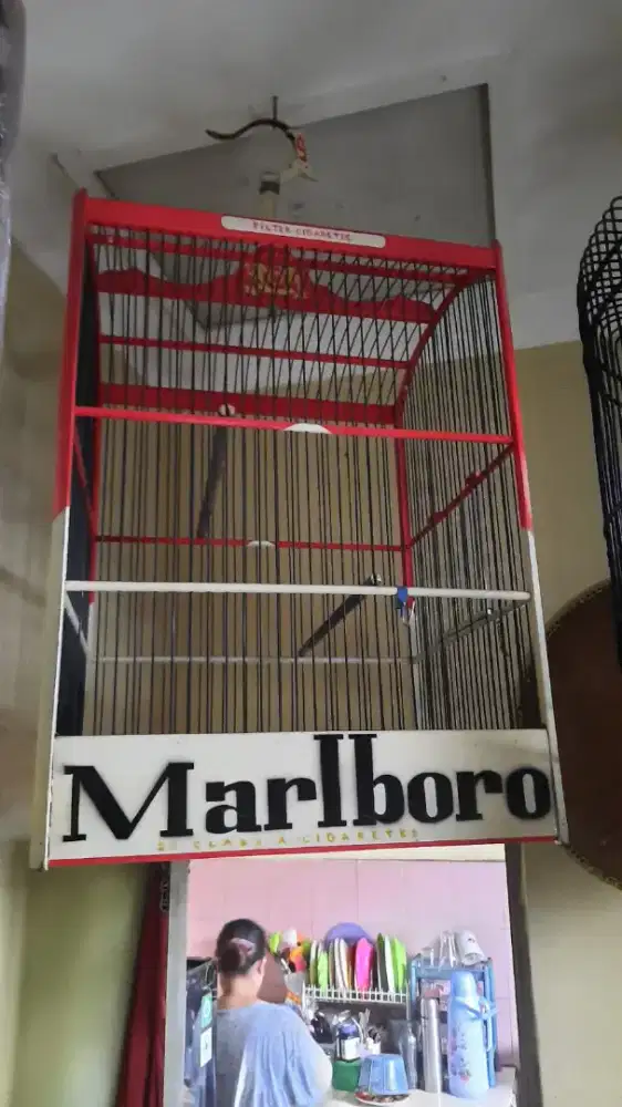 kandang lakbet phenix