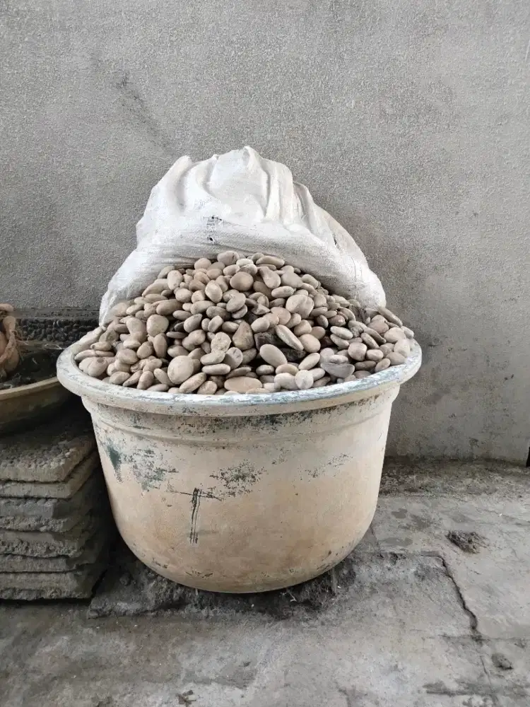 Batu koral putih. Hiasan taman.