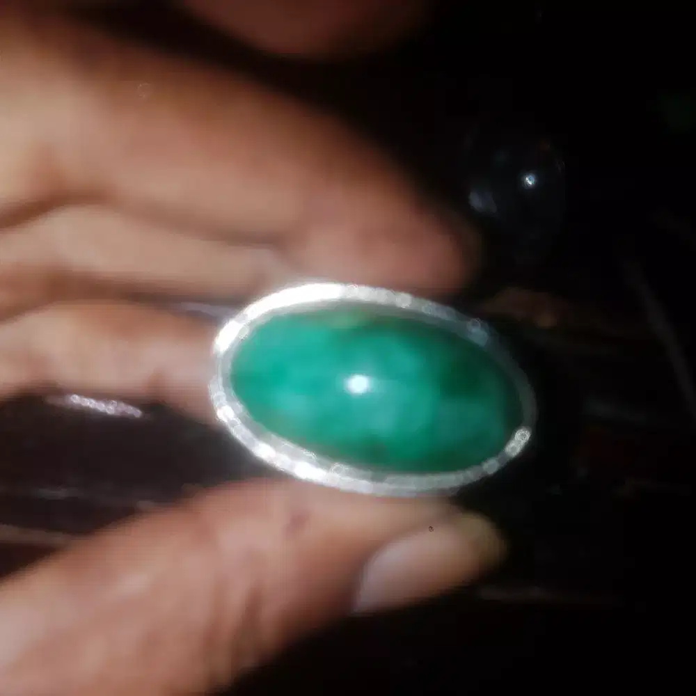 Batu sisik naga cikotok