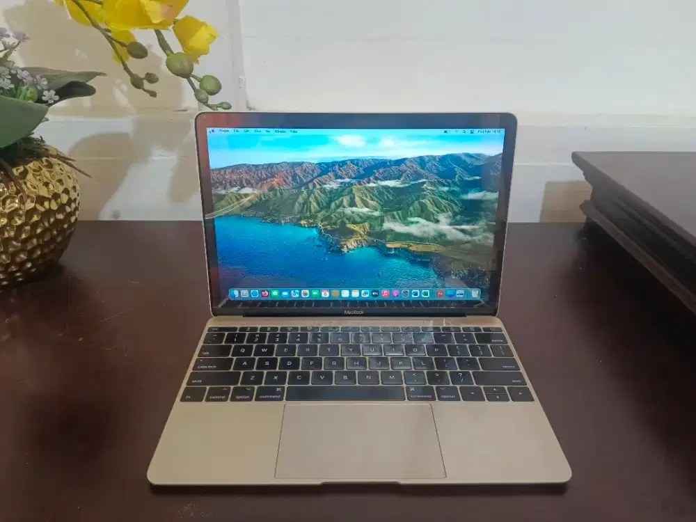 Macbook Retina 12 inch 2017