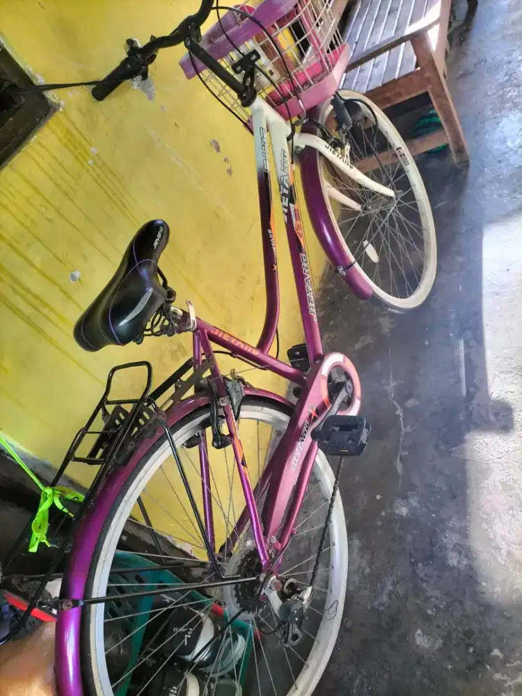 Jual sepeda  merk jieyang