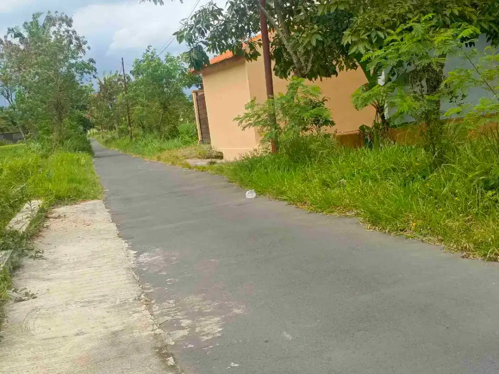 tanah sleman yogyakarta