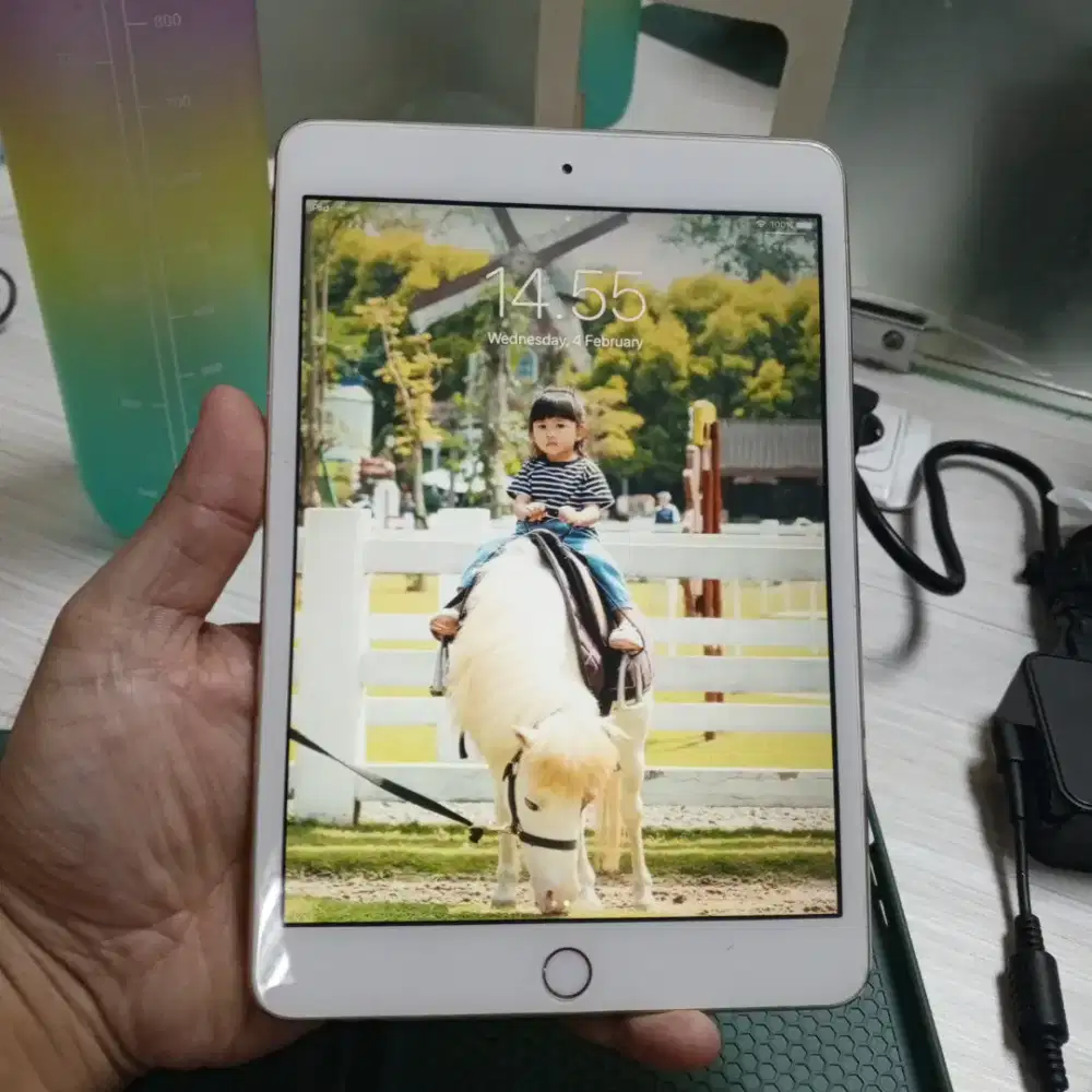 IPAD MINI 3 SECOND MULUS