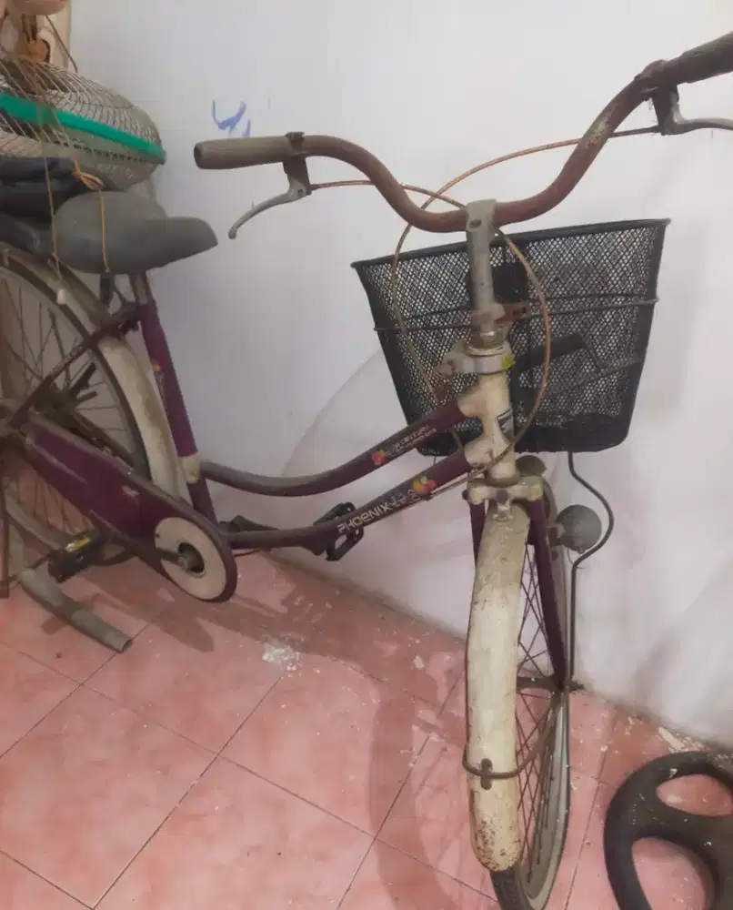 Phoenix sepeda kayuh