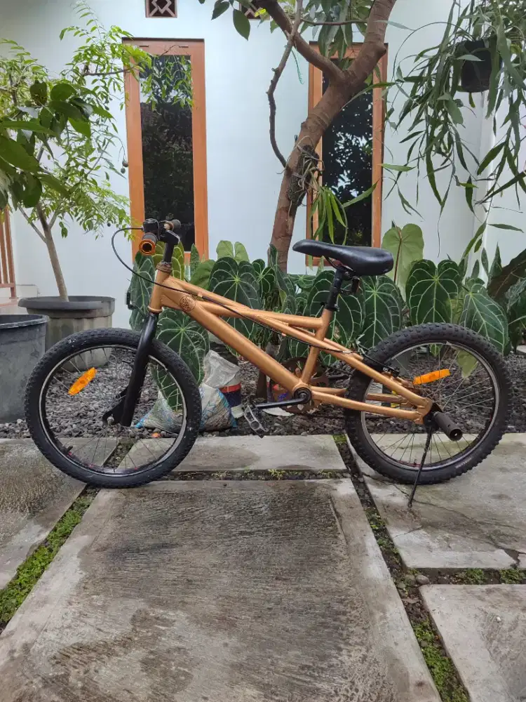 Sepeda anak BMX basic wimcycle Metalizer bekas