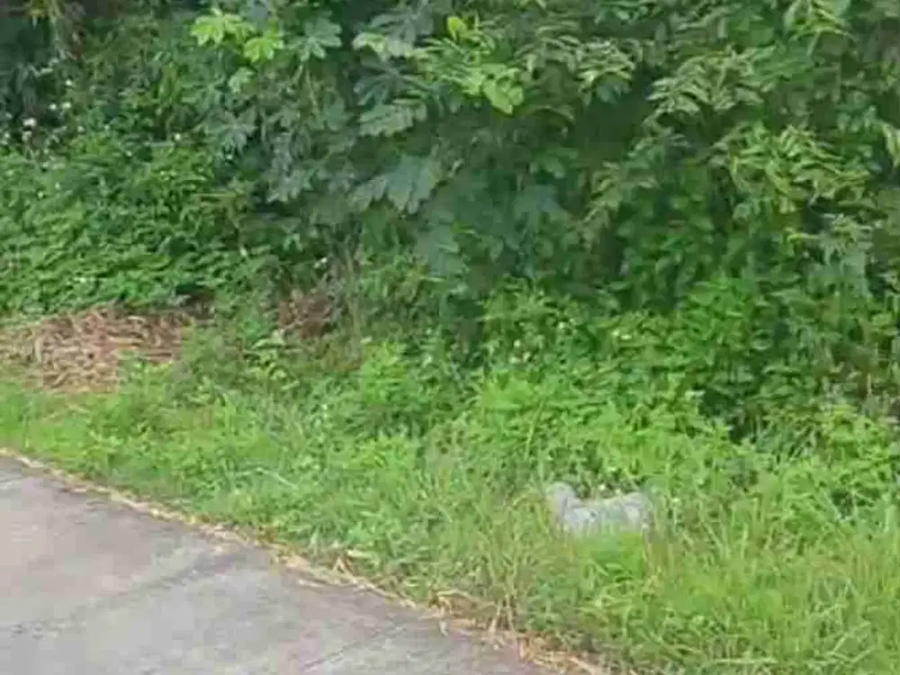 Di jual tanah kering kotorejo