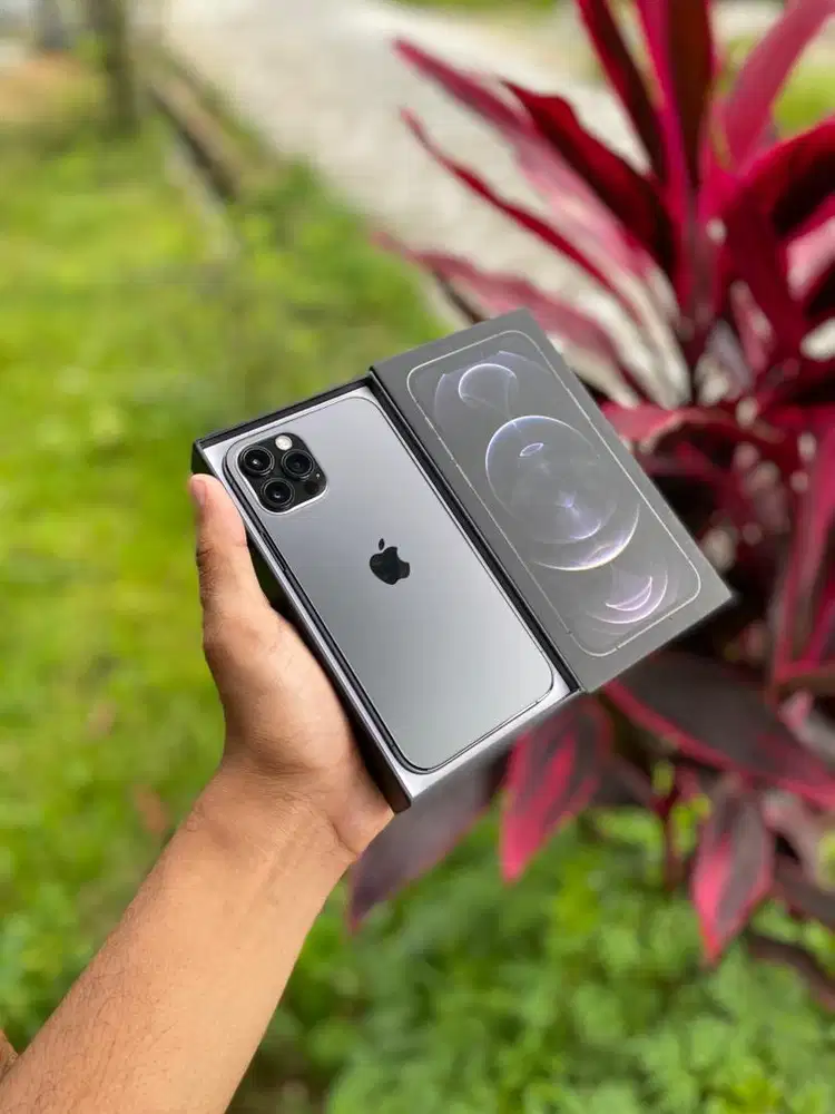 iPhone 12 Pro 256GB iBox PA/A