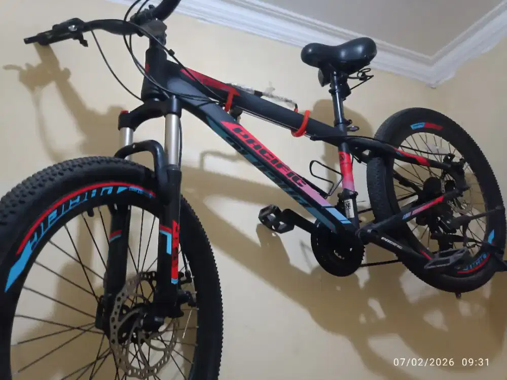 Sepeda Pacific invert 100