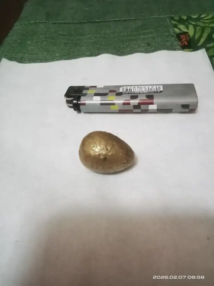 Besi kuning telor unik.