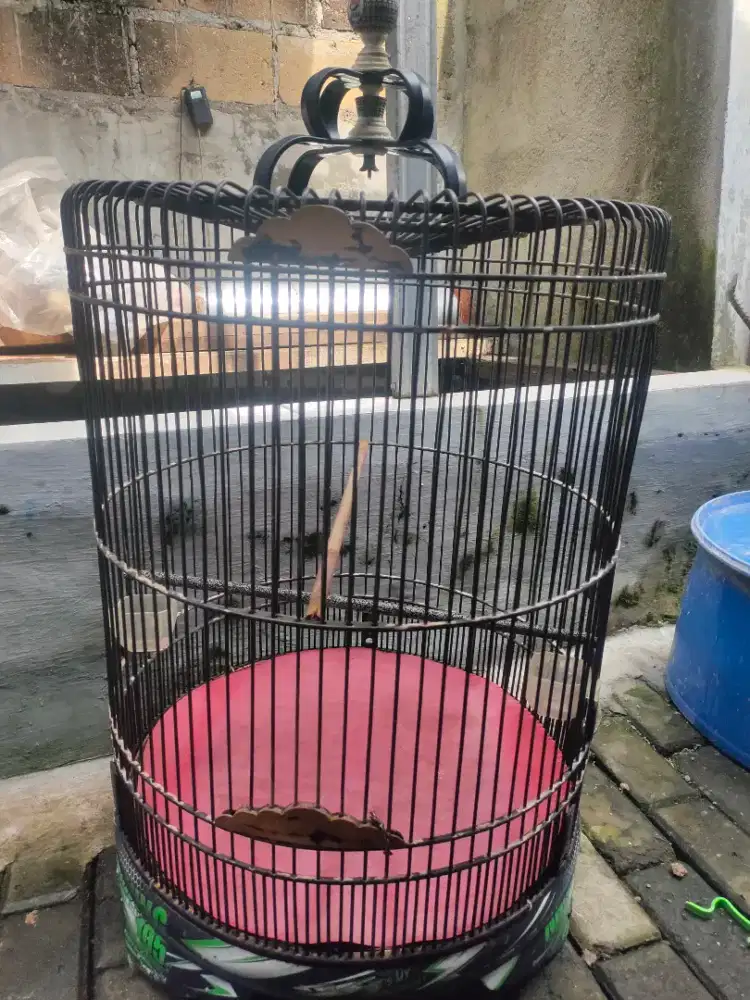 Sangkar Murai Ebod Nanjung 105