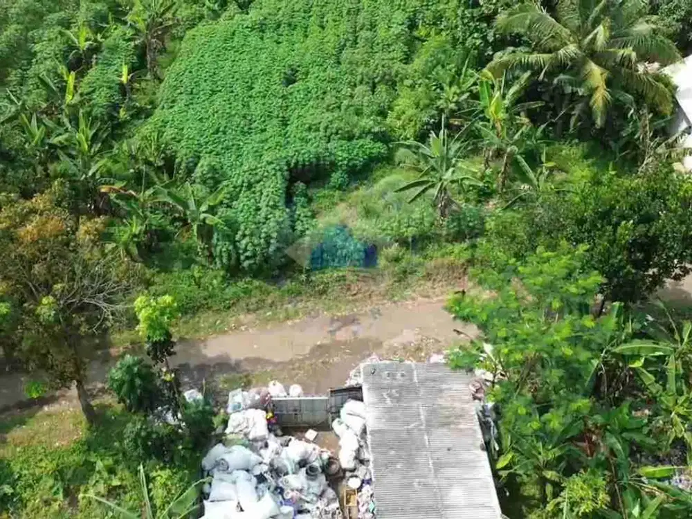 Dijual Cepat! Tanah Strategis Di Dangdang, Cisauk - Tangerang. Tanah Darat Dan Bebas Banjir!