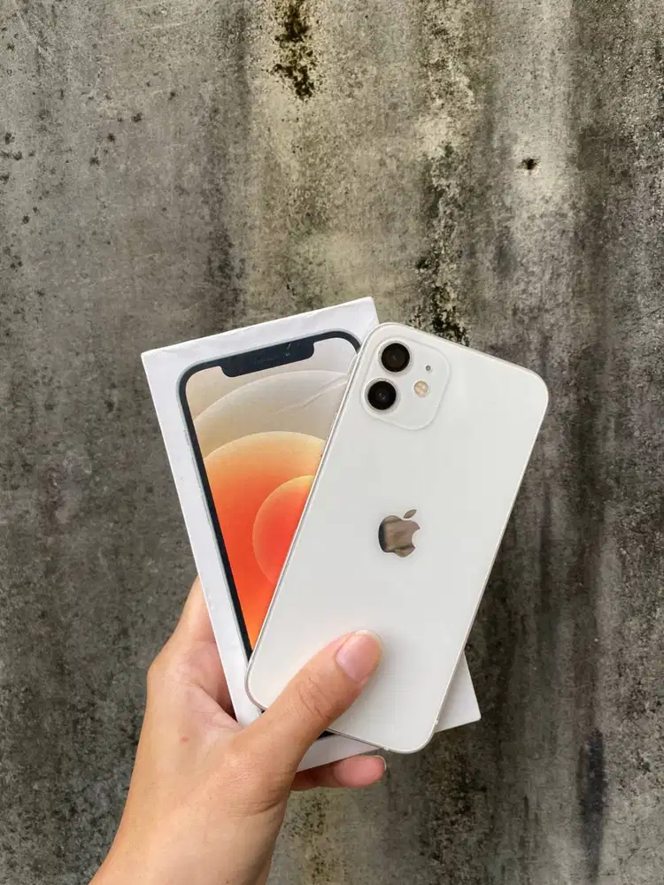 Iphone Ip 12 64 GB Inter All Operator