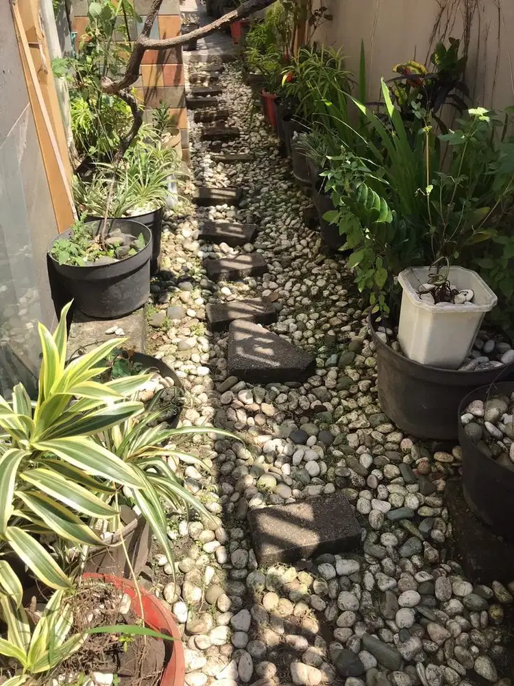 ABW ALL 50 JUTA TAMAN POT BUNGA TANAMAN IJO KEMBANG AC TV KASUR HP DLL