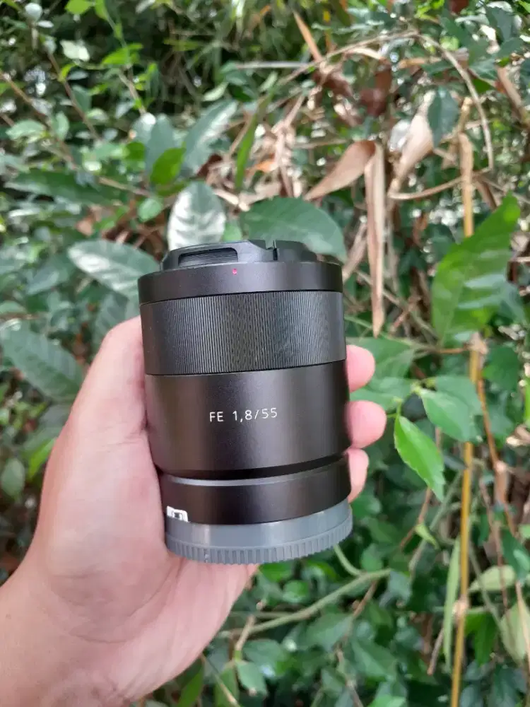 LENSA SONY FE 55 MM F1.8 ZISS