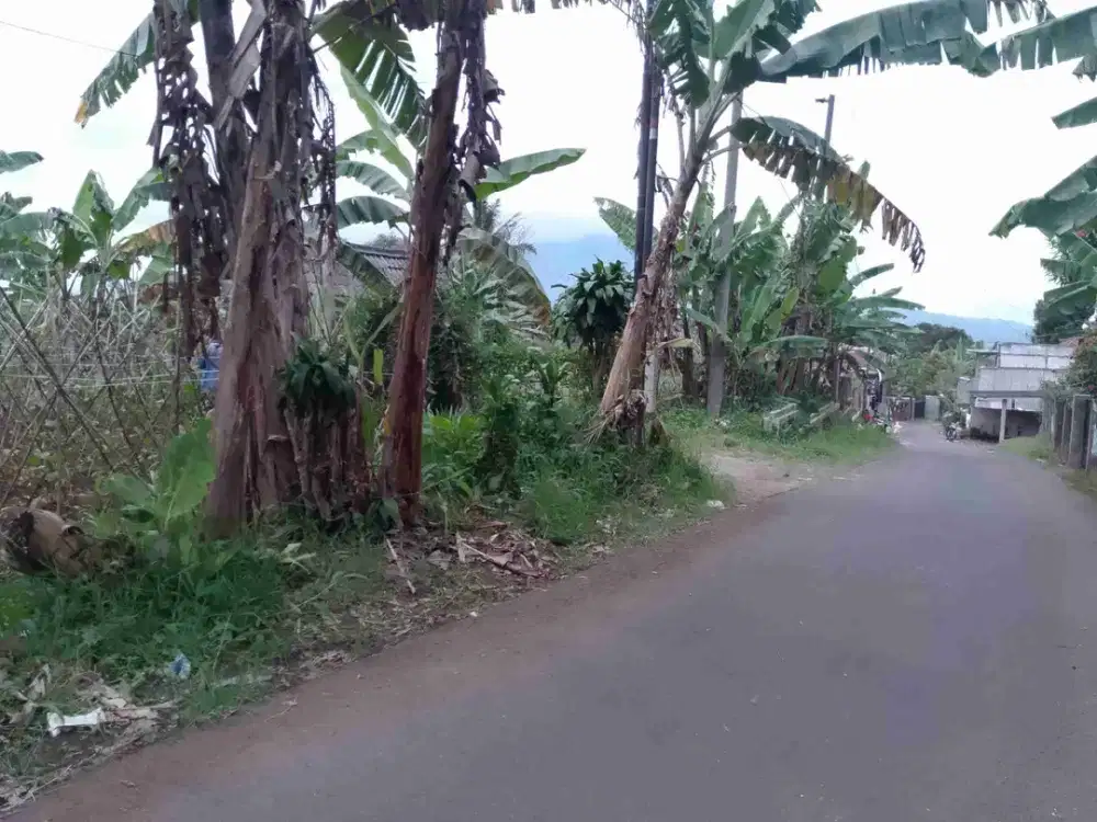 di jual tanah kebun dan sawah berikut villa di caringin