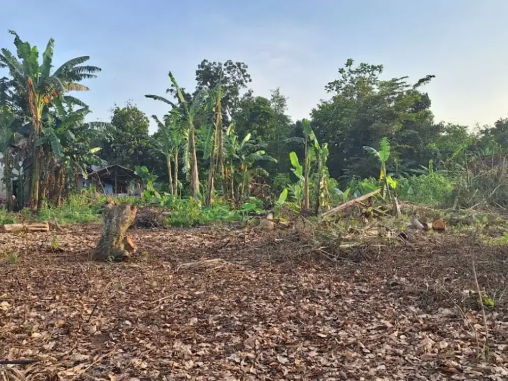 1 Juta-an Kavling SHM Dekat Stasiun Jatake & Tol Serbaraja. Bisa Cicil