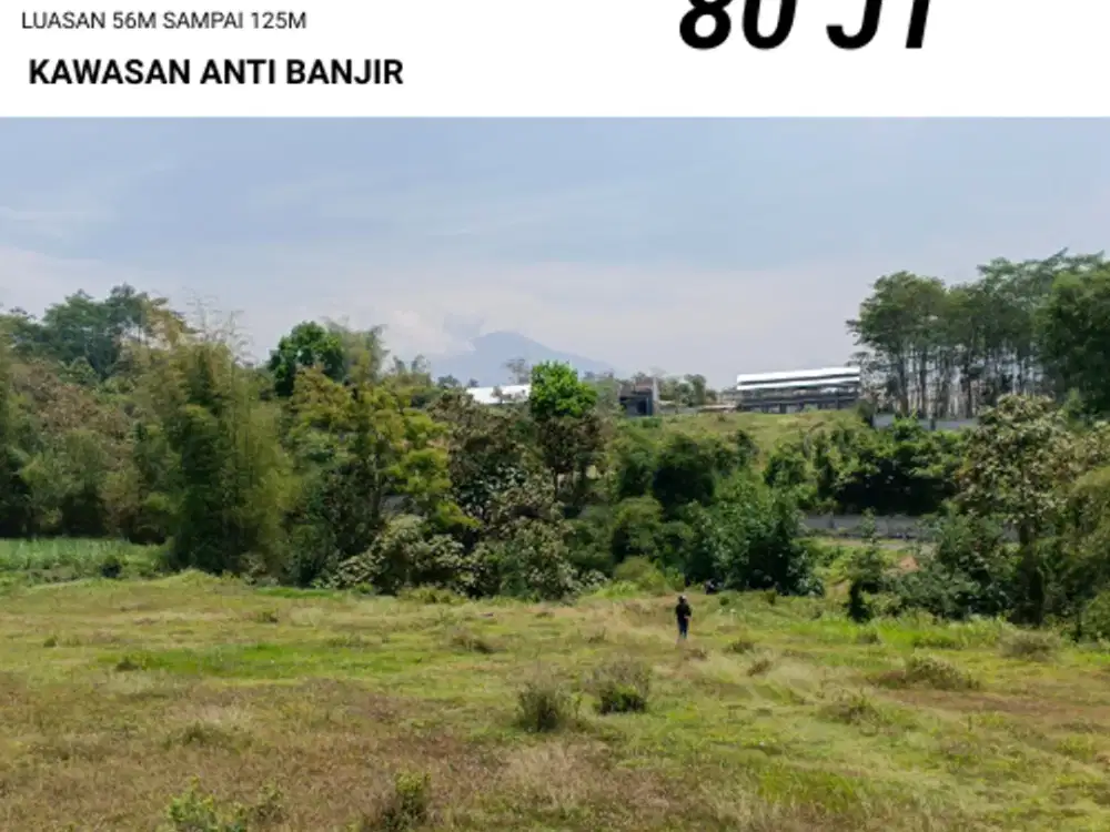 Sertifikat SHM Kawasan Berkembang Tanah Di Wagir