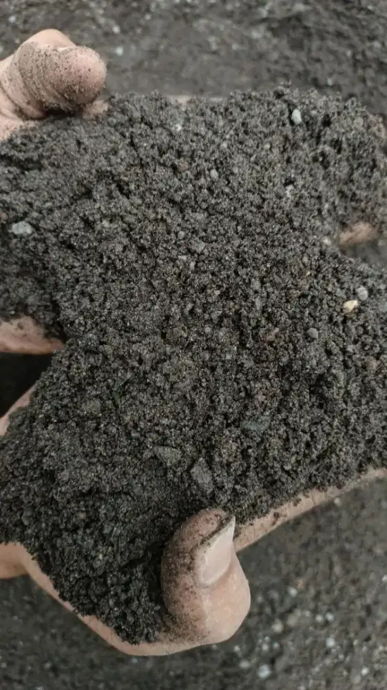 Pasir Lumajang Begoan