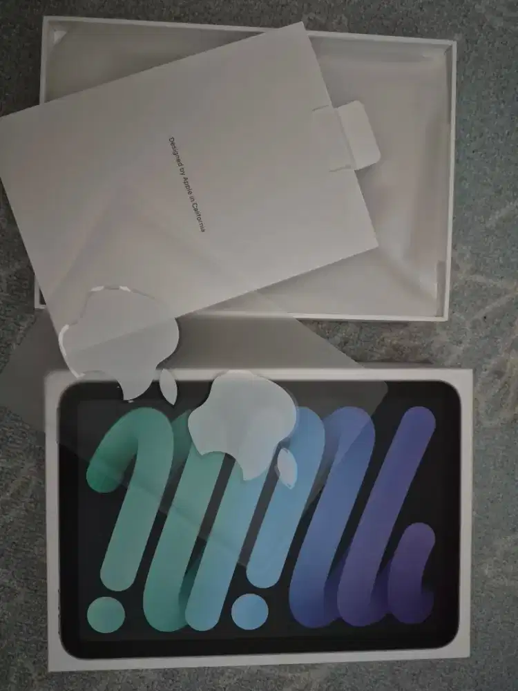 Ipad Mini 6 [256 GB]