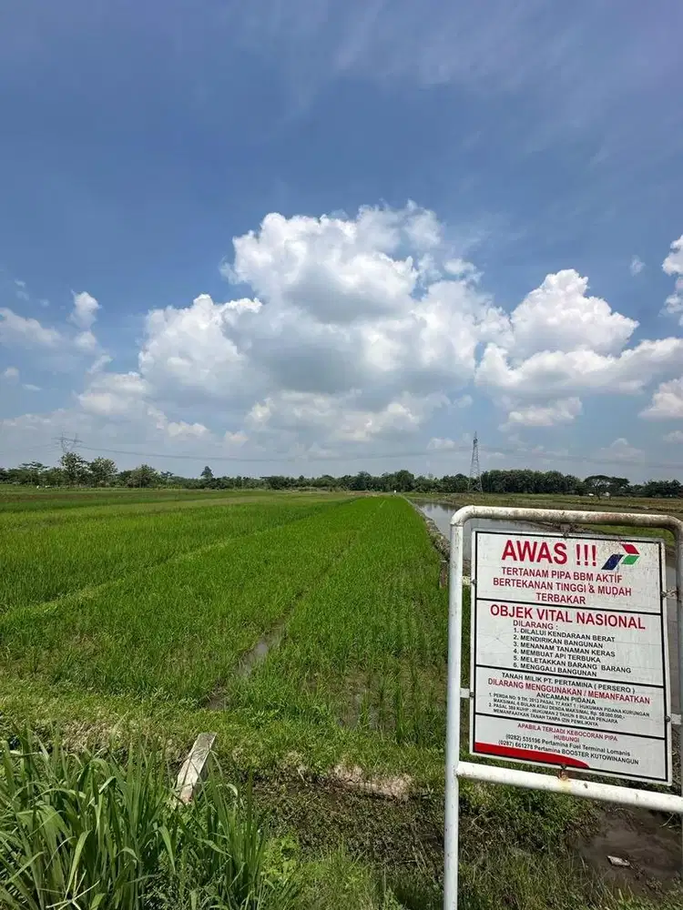 Investasi Murah Sawah 832 Karanganom Irigasi Bagus Akses Mobil