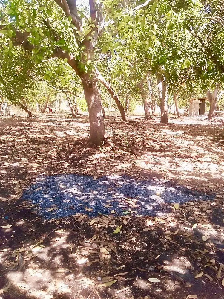 Tanah lokasi Tambolaka , desa ramadana  Sumba barat daya