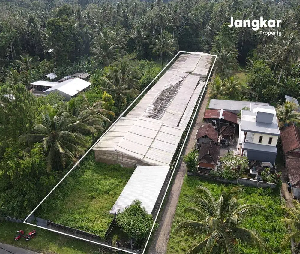 Dijual Green House Produktif Lokasi di Mengwi Badung