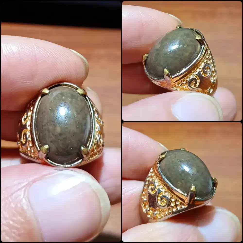 Fosil Manigajah Lawas