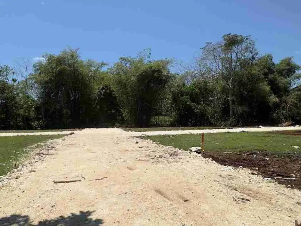 Jual Tanah Luas 100m² Free Biaya Jl Mecetuan Jimbaran dekat Kampus Zona Kuning