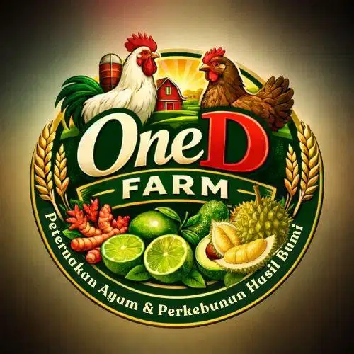 Loker Admin Online Wanita