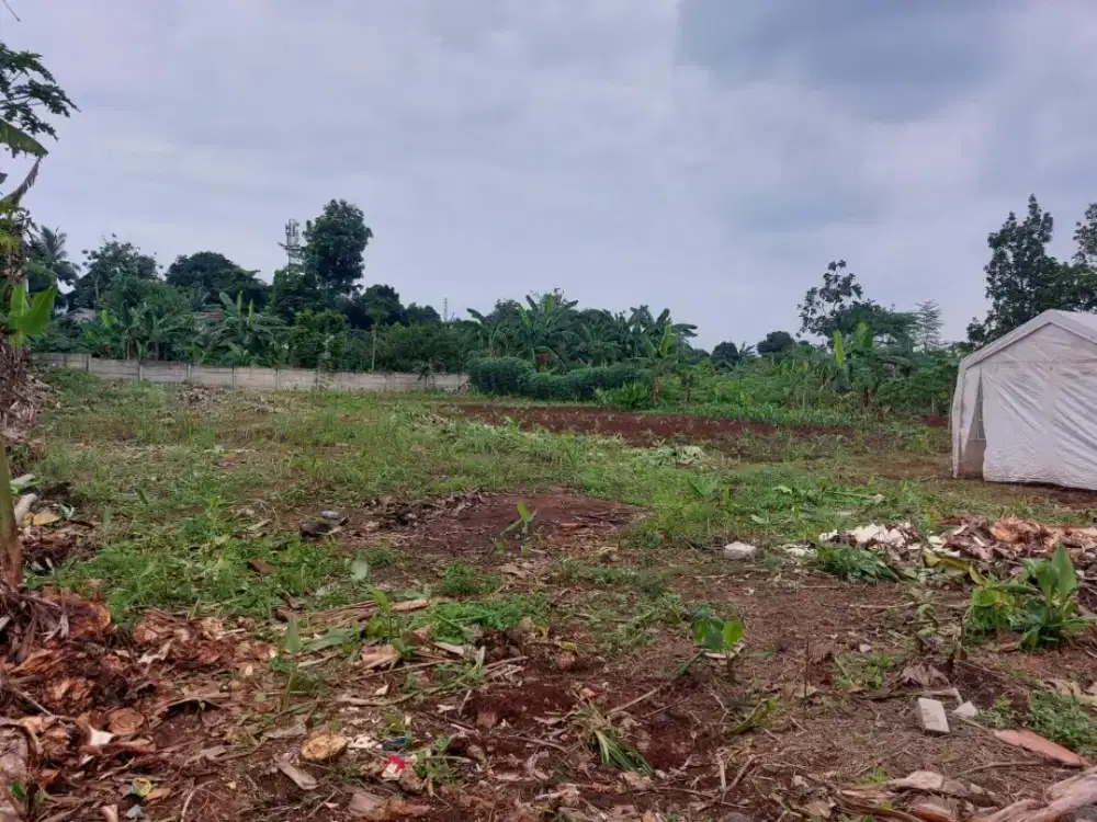 Bongkar rumah tua gedung tua bangunan lama Cut and fill
