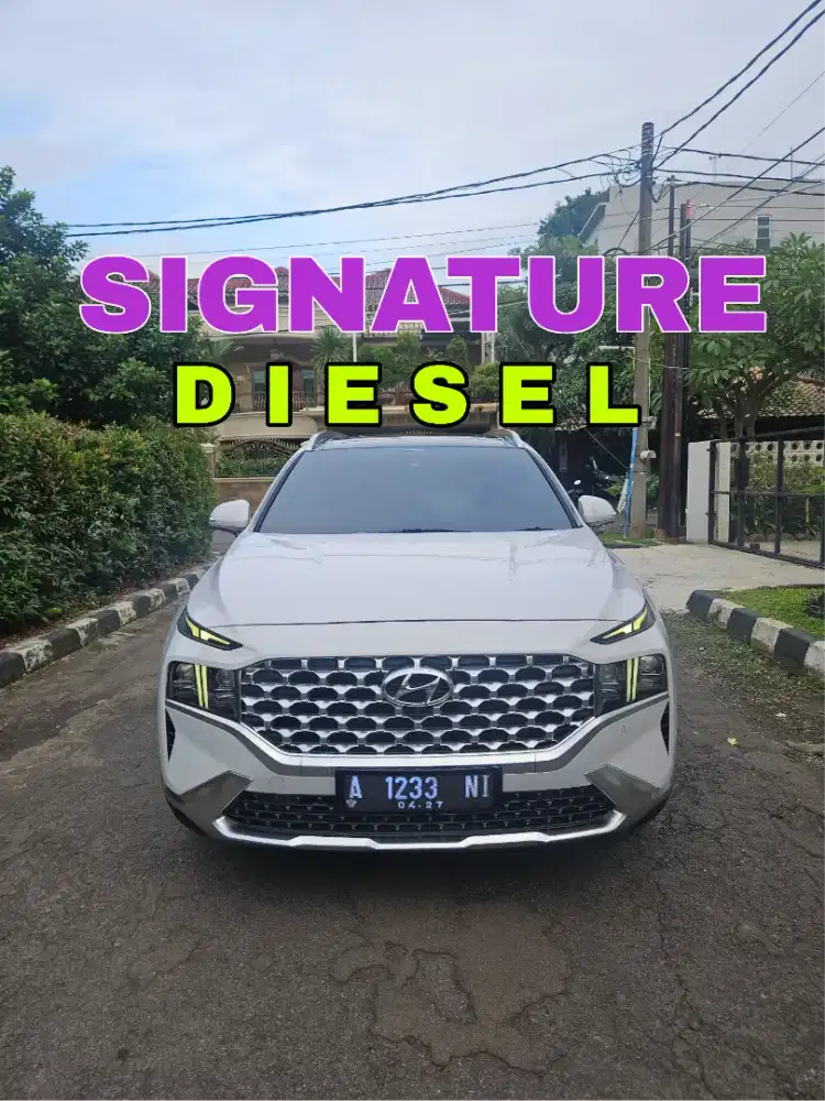 CASH hyundai SANTA FE signature diesel 2022 at mulus terawat