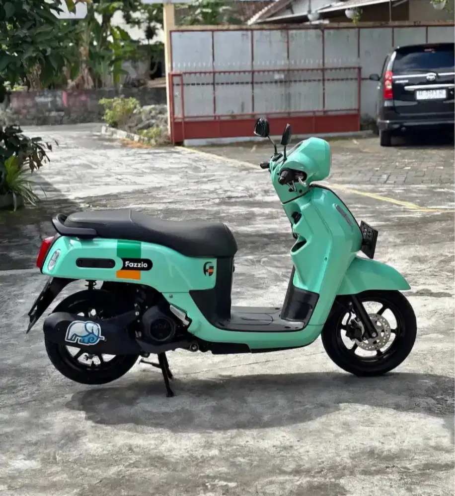 Fazzio 2024 Dp 1,2 Juta