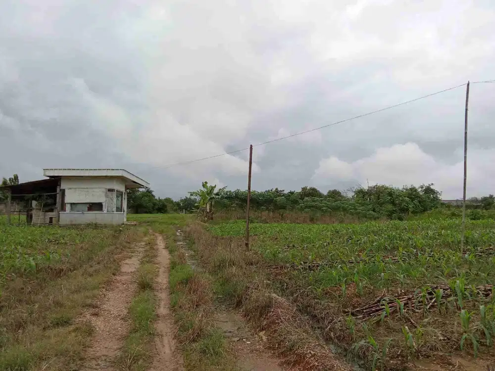 LAHAN LUAS 5 HA, COCOK PABRIK & GUDANG DI KAWASAN INDUSTRI