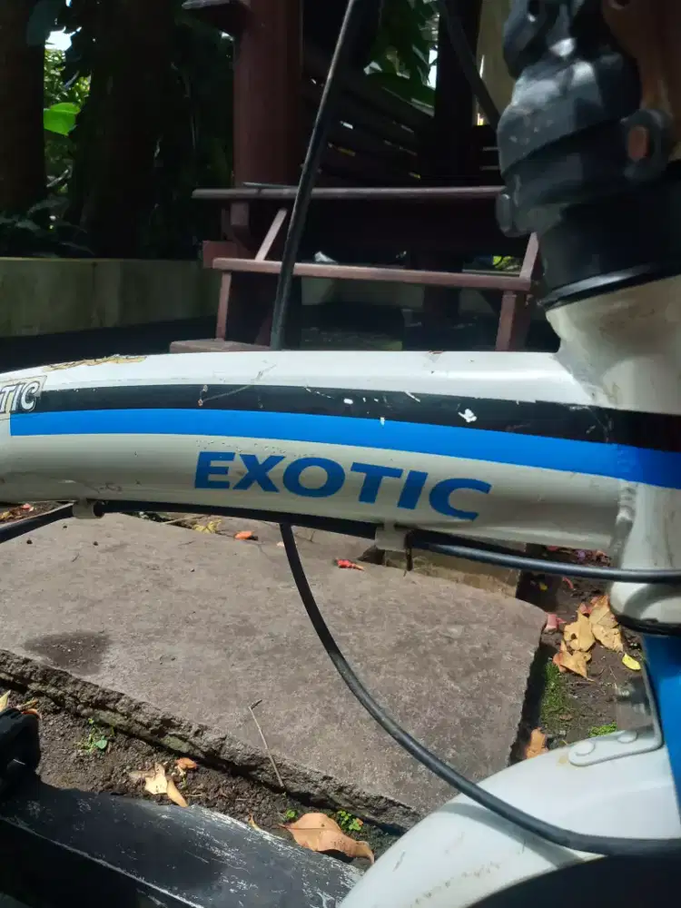Jual Sepeda exotic
