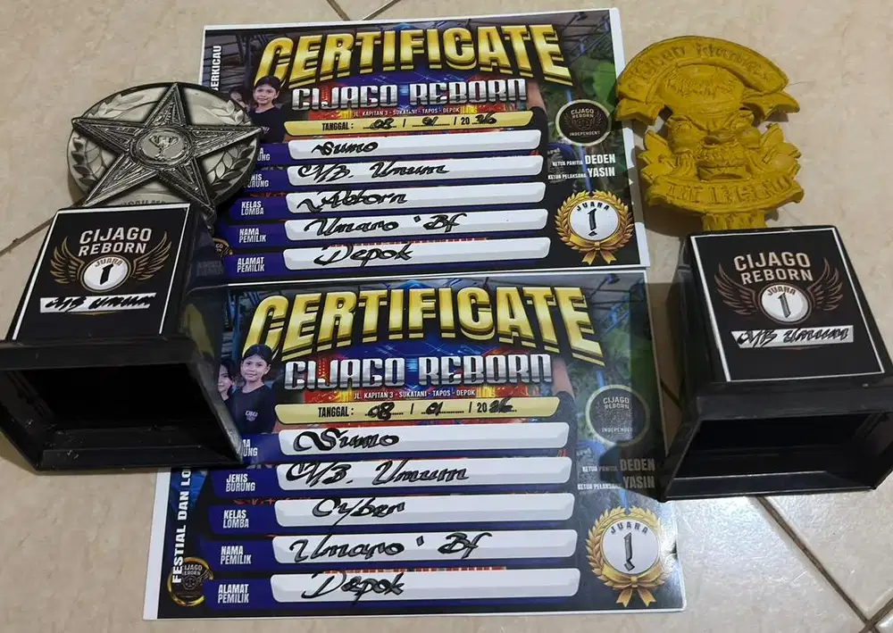 murai batu PRESTASIAN ANGET ORI HUTAN MAPAN