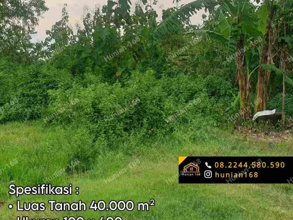 Tanah Kavling Gudang Bekas Pabrik Industri Raya Propinsi Provinsi Widang Tuban Jawa Timur Jatim