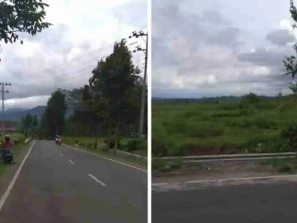 DIJUAL TANAH SAWAH PRODUKTIF lokasi sebelum secang  Magelang