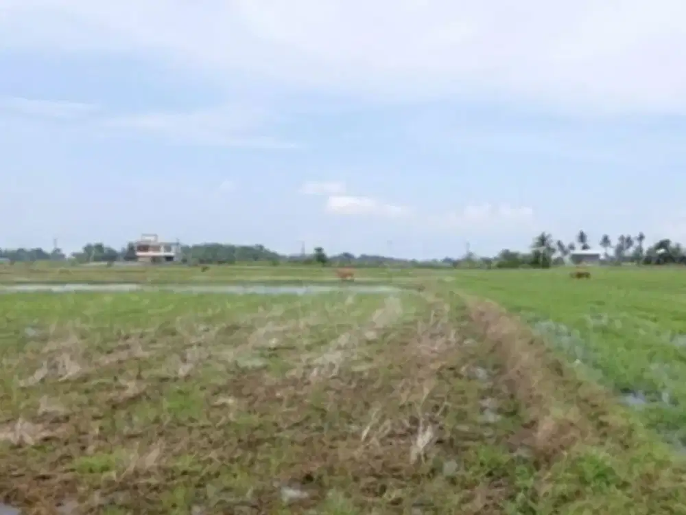 Dijual Tanah sekitar Jalan Poros Bantimurung, Maros