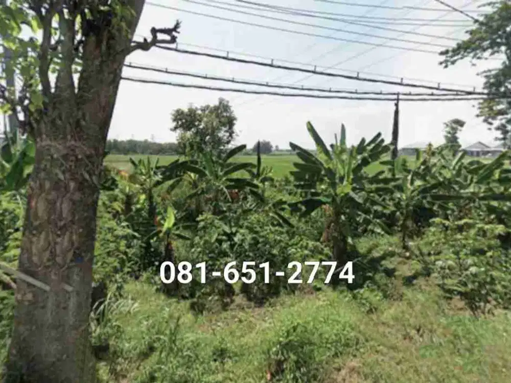 Tanah di Purwosari Pasuruan