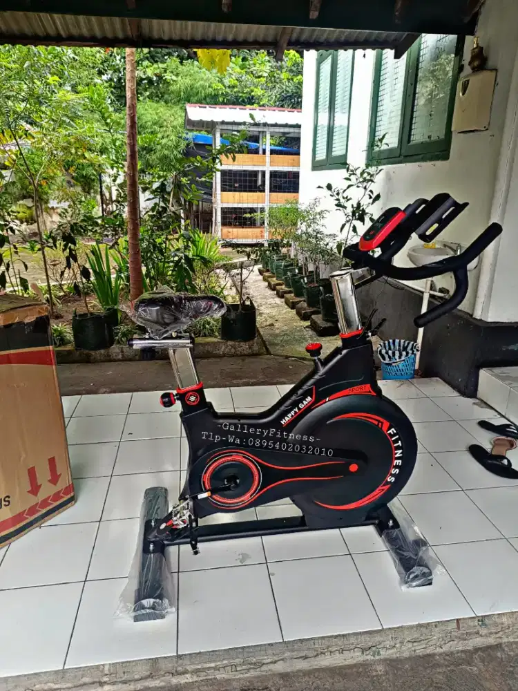 Sepeda statis spinning 8300