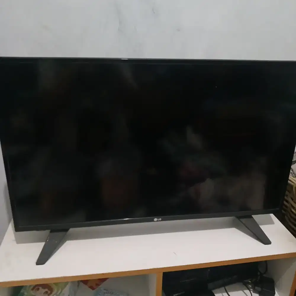 TV LG 32 inch (flat)